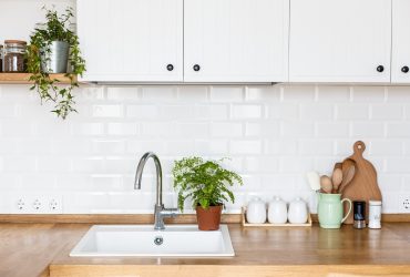 Low-Care Indoor Plants You’ll Love